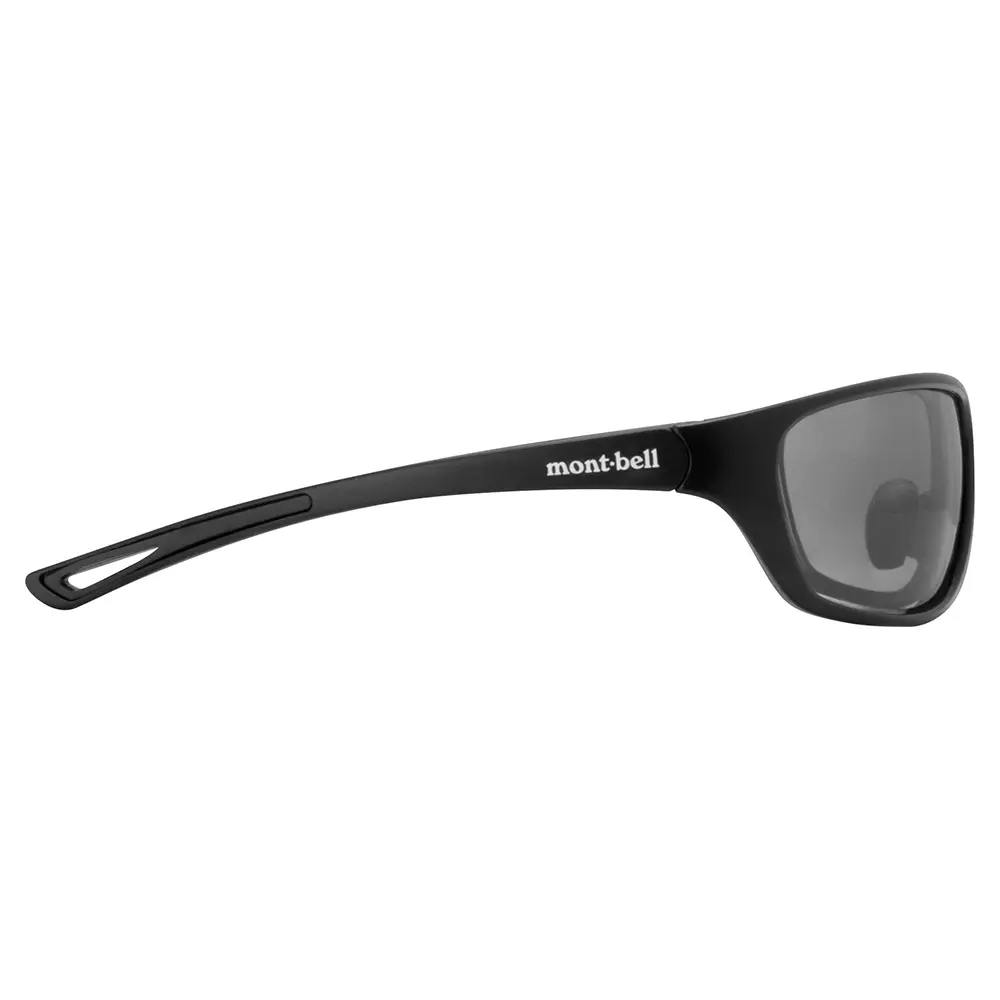 Очки ALPINE GLASSES PL PLUS SHIELDS - Matte Black/Gray