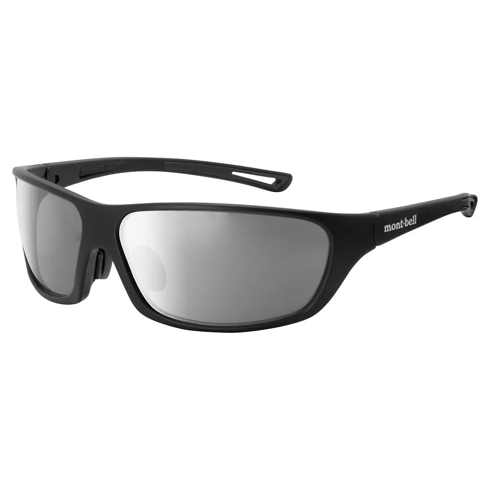 Очки ALPINE GLASSES PL PLUS SHIELDS - Matte Black/Gray
