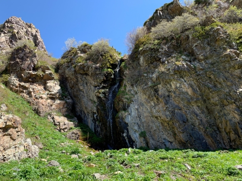 D75E6AF5-874B-4983-82E4-826D9E2283BD.thumb.jpeg.66b52efbed70954ae33c3a6435504f16.jpeg