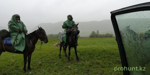 ЦЕНТРАЛЬНАЯ ДЖУНГАРИЯ