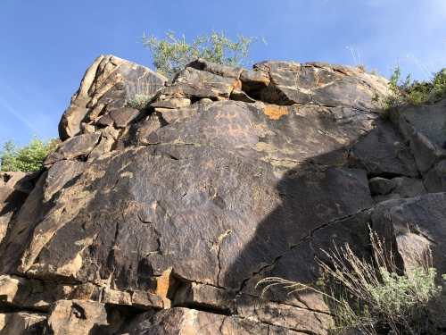 034583D4-7653-4F42-825F-90A2DC2741A0.thumb.jpeg.d0feb3ed664598ca6dbae1ffc5d02e1f.jpeg