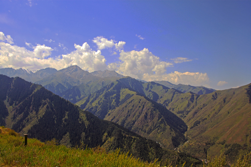 IMG_6844.jpg