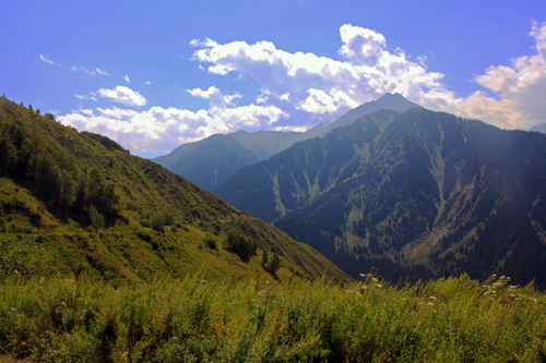 IMG_6855.jpg