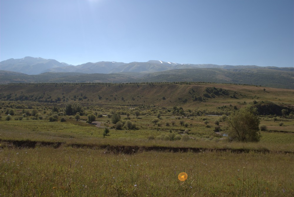DSC_0343.jpg