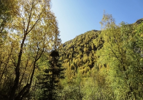 Неизвестная Джунгария на конях ...