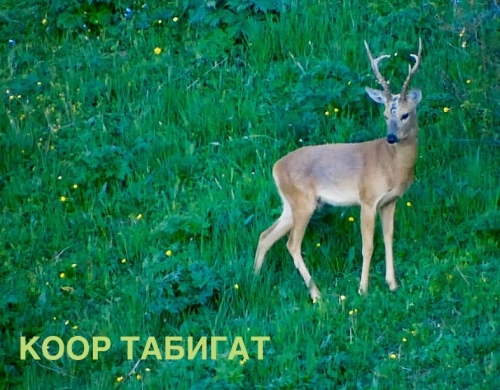 0C663AB2-7549-4B22-9BE5-E850CD959109.thumb.jpeg.14a48bff1e67c7124b964f225f9e3224.jpeg