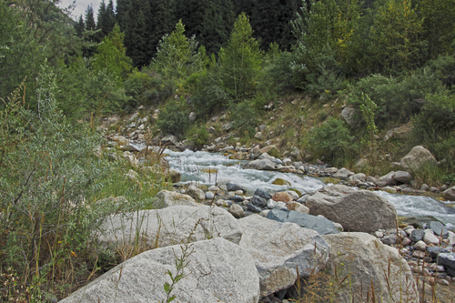 IMG_7129.jpg