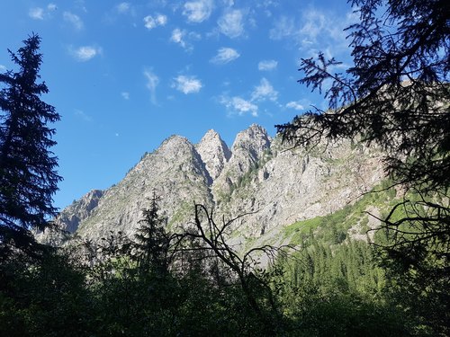 20180719_164654.jpg