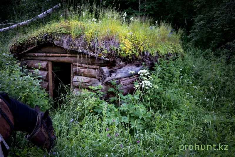 Маралье озеро