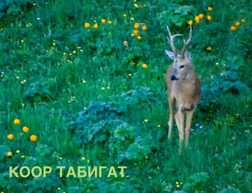 131EA44E-6558-422E-B64E-5E660C01CF1B.jpeg