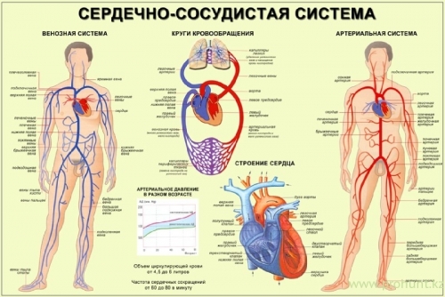 d55a070df296cb89ff6e1960a502d1cb.thumb.jpg.5c72bec352a807277f1d288079d49b2f.jpg