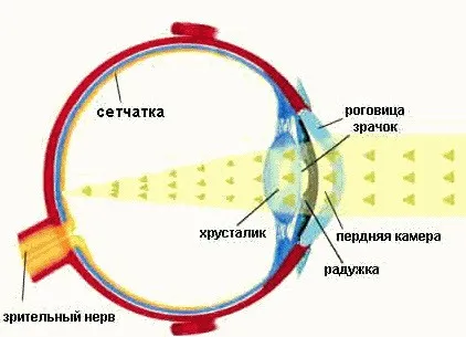 3da4266be74ab38496fa6417e26aa416.jpg