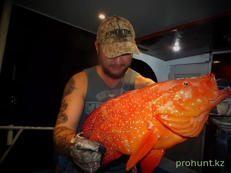 Морская рыбалка в Андаманском море