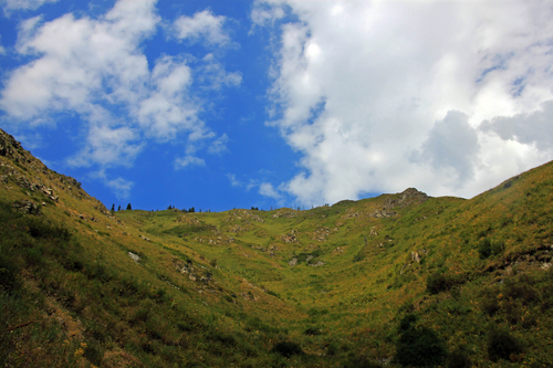 IMG_7112.jpg