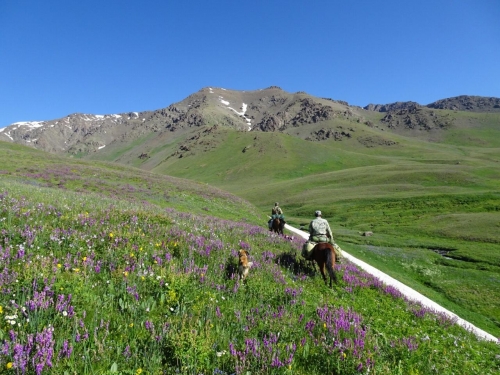 ЦЕНТРАЛЬНАЯ ДЖУНГАРИЯ
