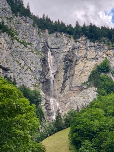 7DDC015E-CAAF-46F2-A347-CAD4678247AD.jpeg