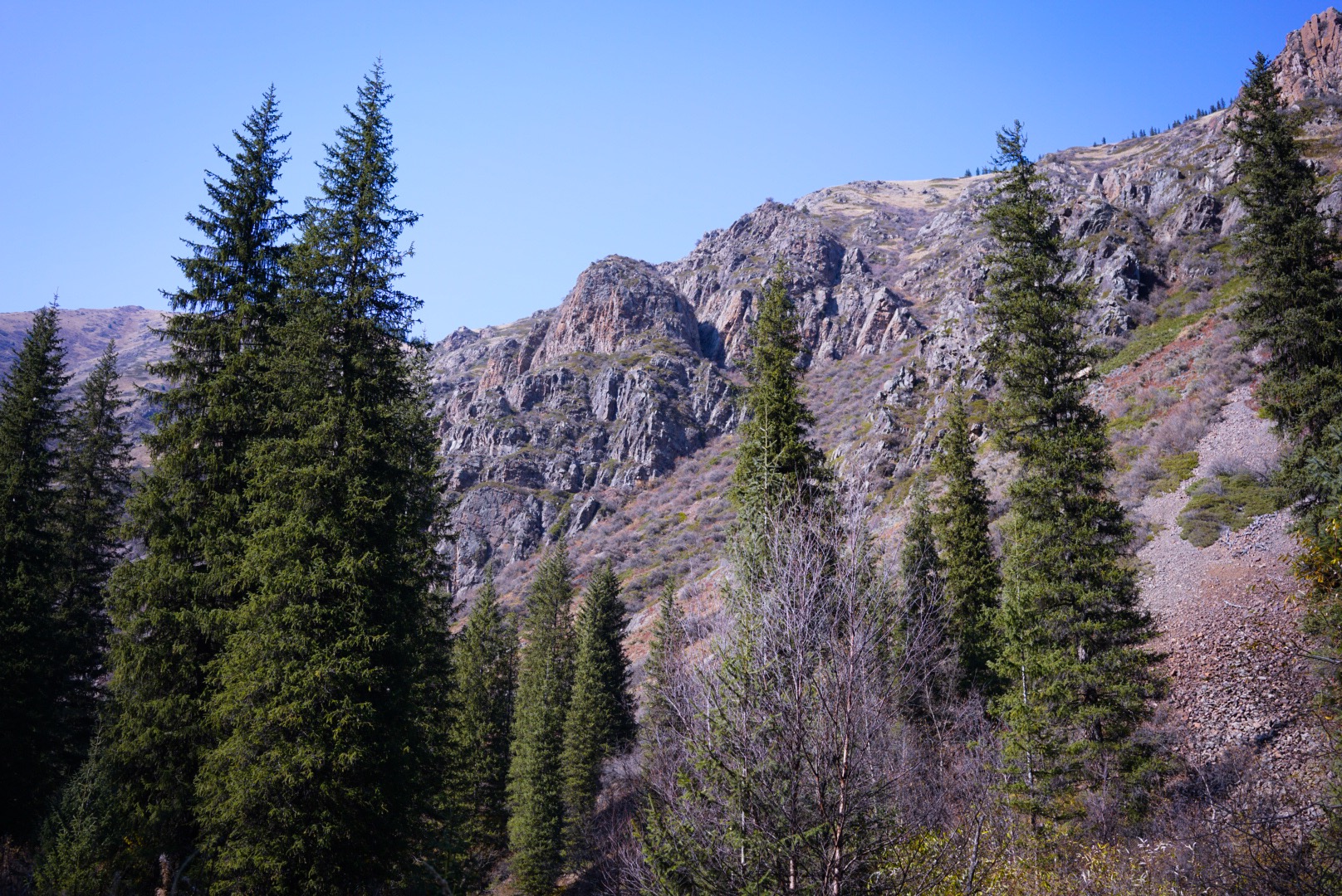 IMG_5418.JPG