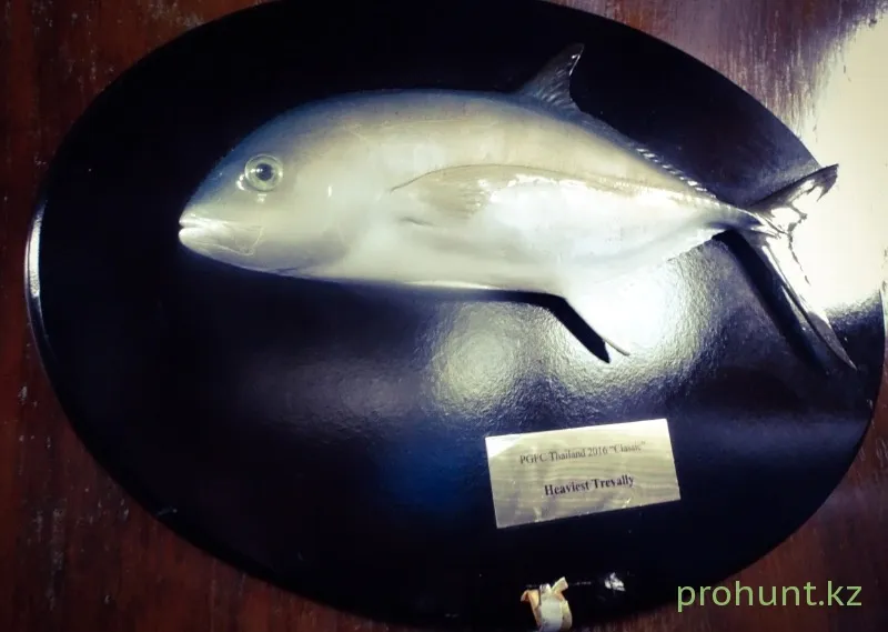 Морская рыбалка в Андаманском море