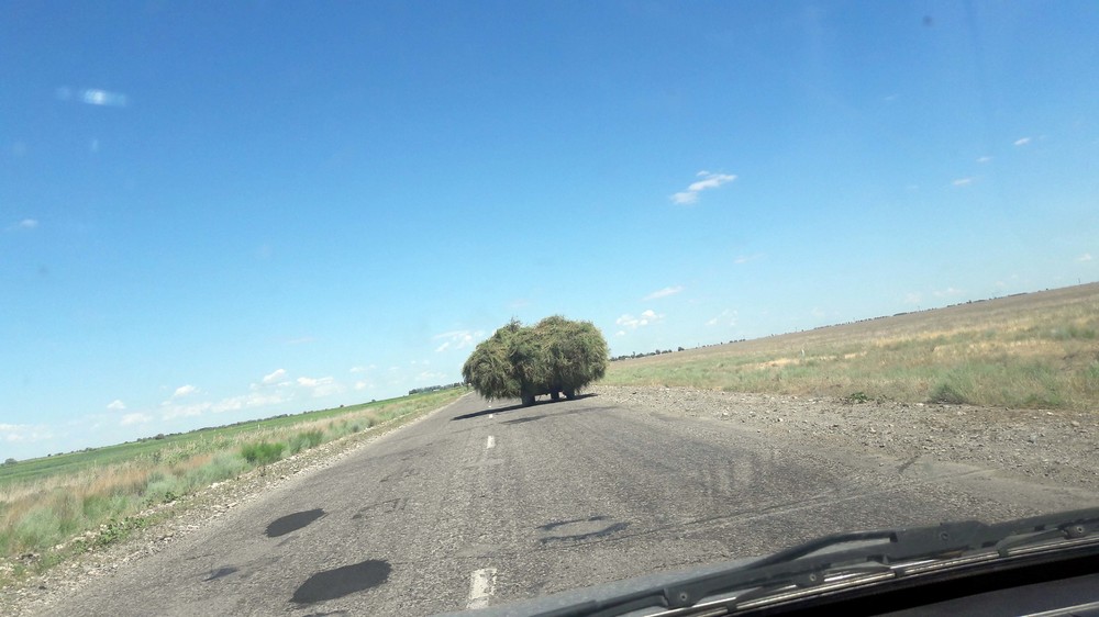 20170715_111326.jpg
