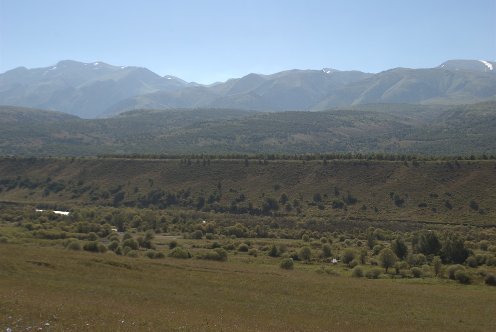 DSC_0348.jpg