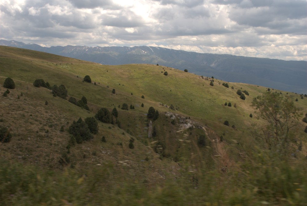 DSC_0566.jpg