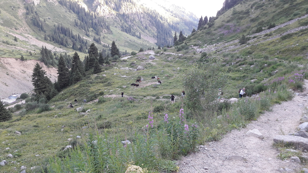 20170730_070412.jpg