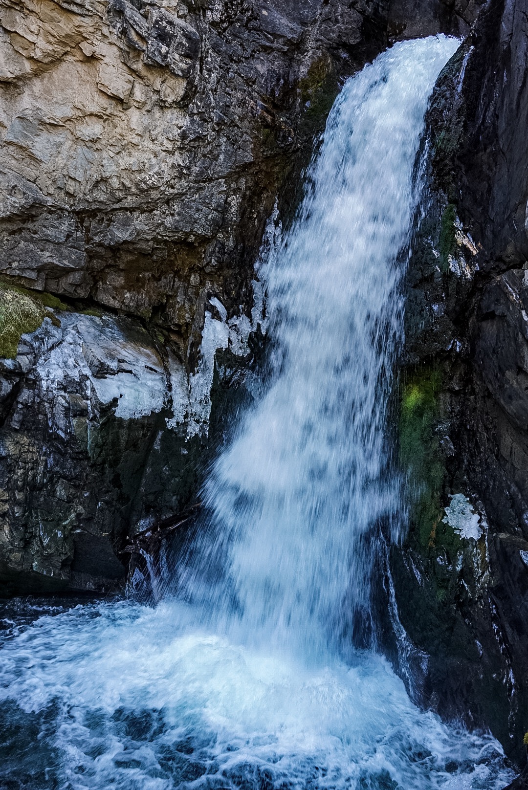 IMG_5414.JPG