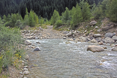 IMG_7121.jpg