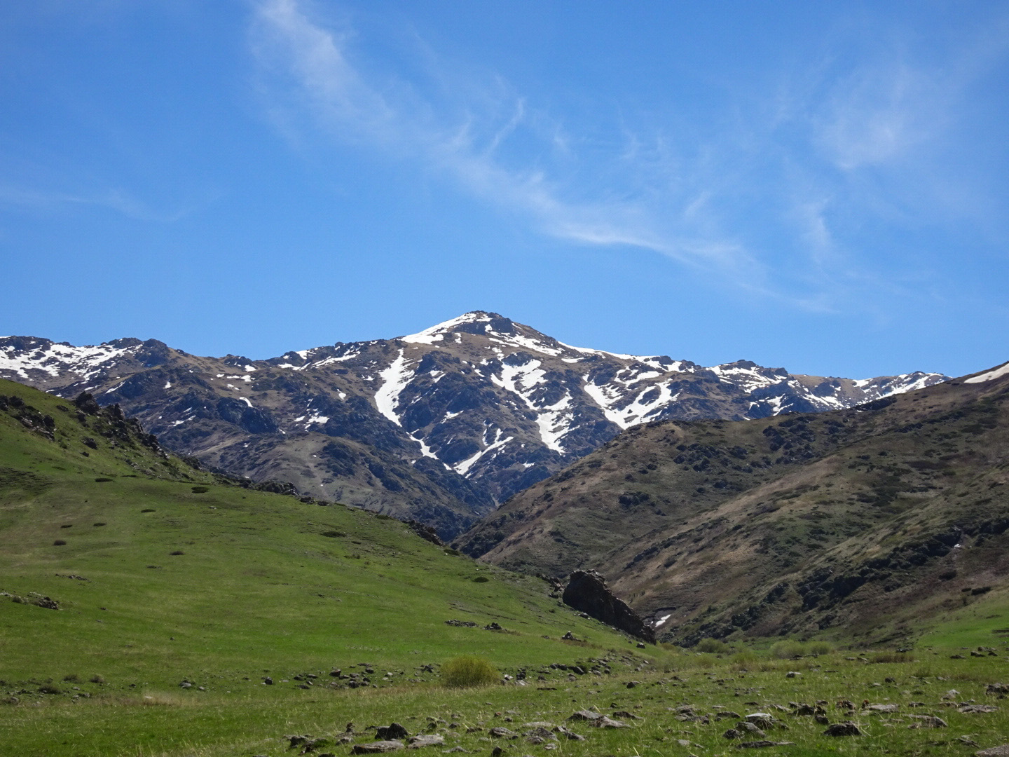 Синяя ножка , места сбора, карты