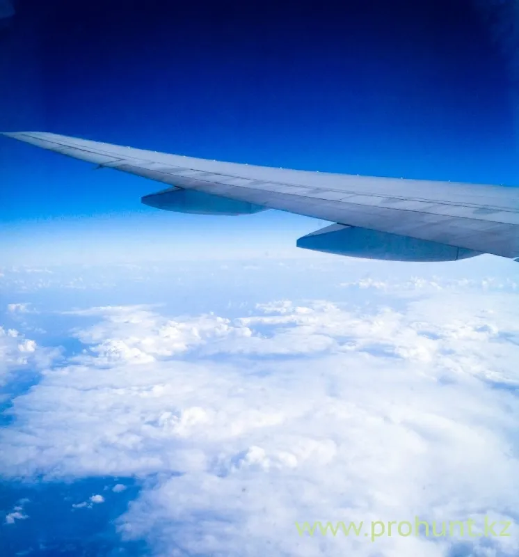 adfd34a7ecc9e693bfebc24ab5fa780a.jpg