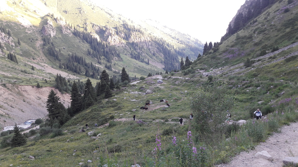 20170730_070413.jpg
