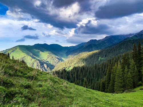 Конный туризм в Алматы.