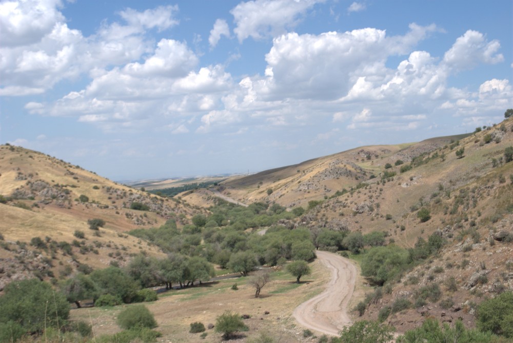 DSC_0076.jpg