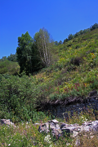 IMG_6890.jpg