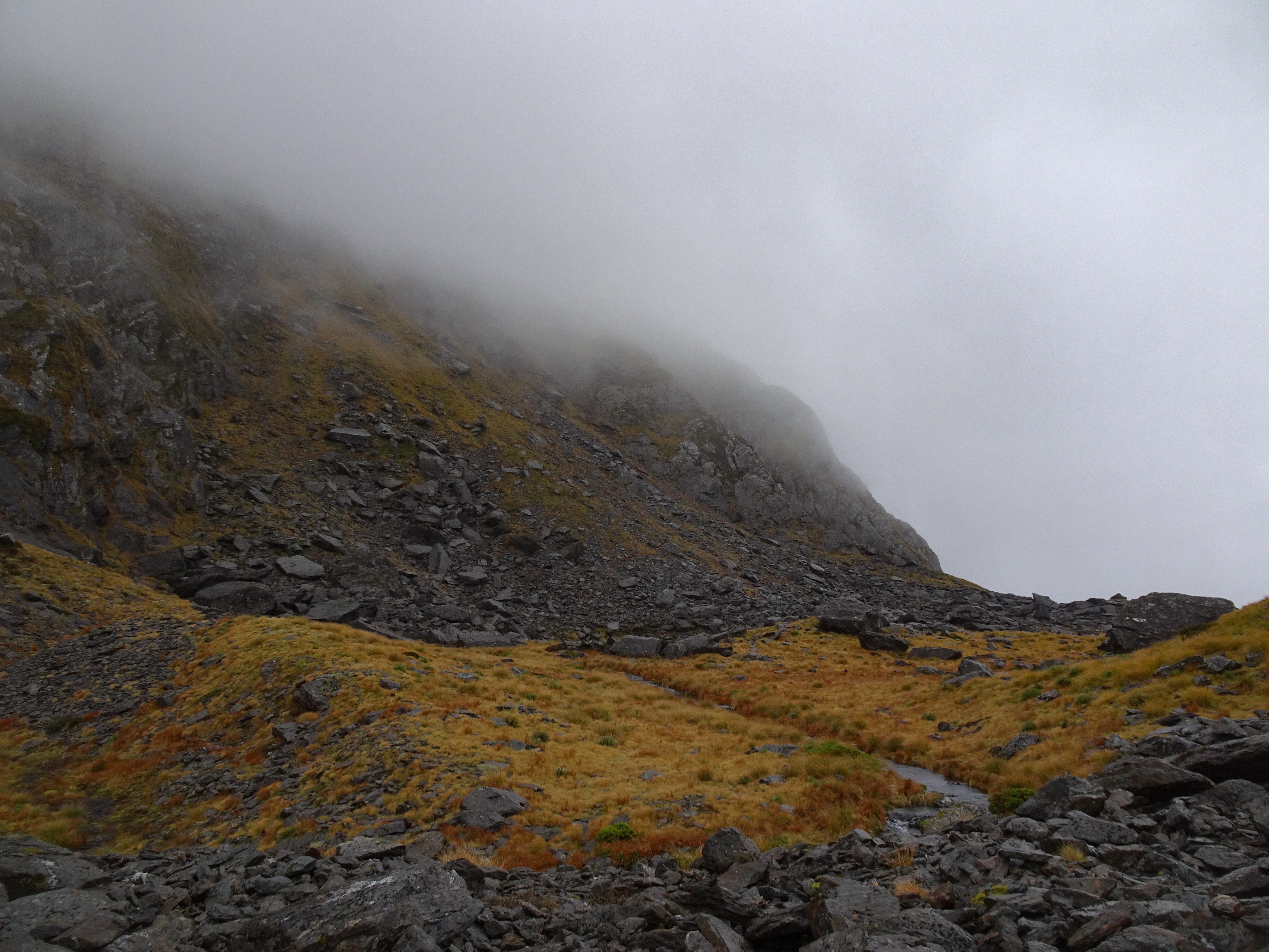 DSC09341.jpg