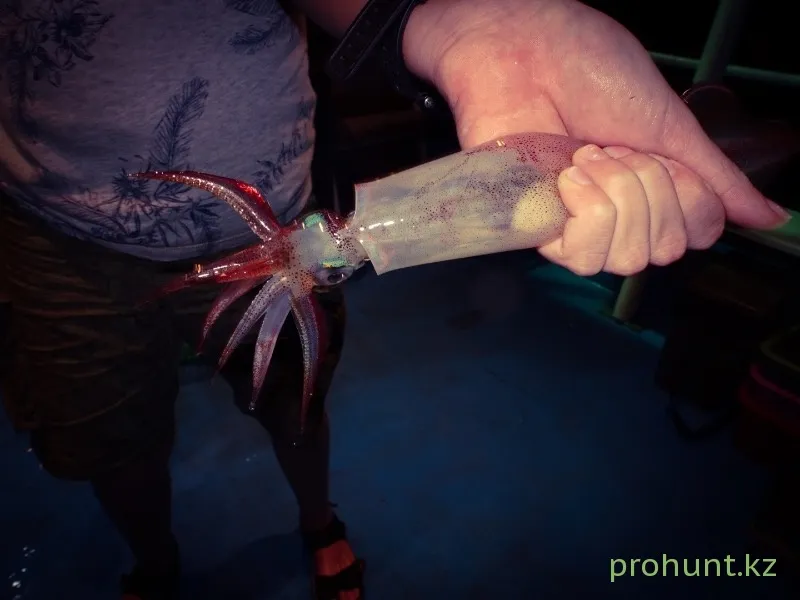 Морская рыбалка в Андаманском море