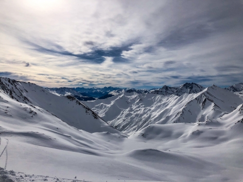 3AA386A2-4F68-46F8-B66C-125866A202DF.thumb.jpeg.e953200e5eb2feb761020e604245a276.jpeg