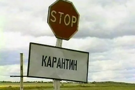 Глобальная пандемия