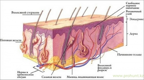 eae18bbeaee1eb708fce00f711df8967.thumb.jpg.eeb11cb247ca9c4d26e4069710e10b5a.jpg