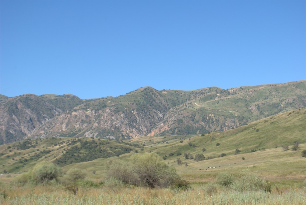 DSC_0332.jpg