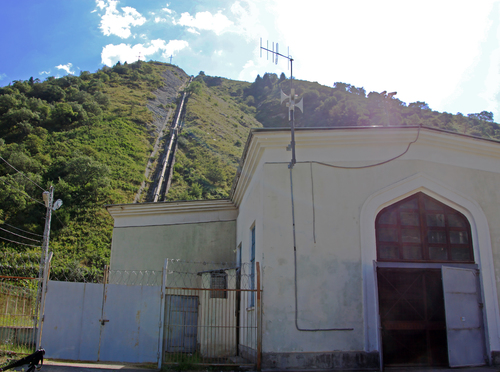 IMG_6778.jpg