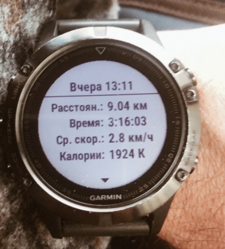 F98AF117-6F0F-493C-A421-CCFF0A9B96DF.thumb.jpeg.dc9b612de01d752ca5ec58363aefa5e1.jpeg