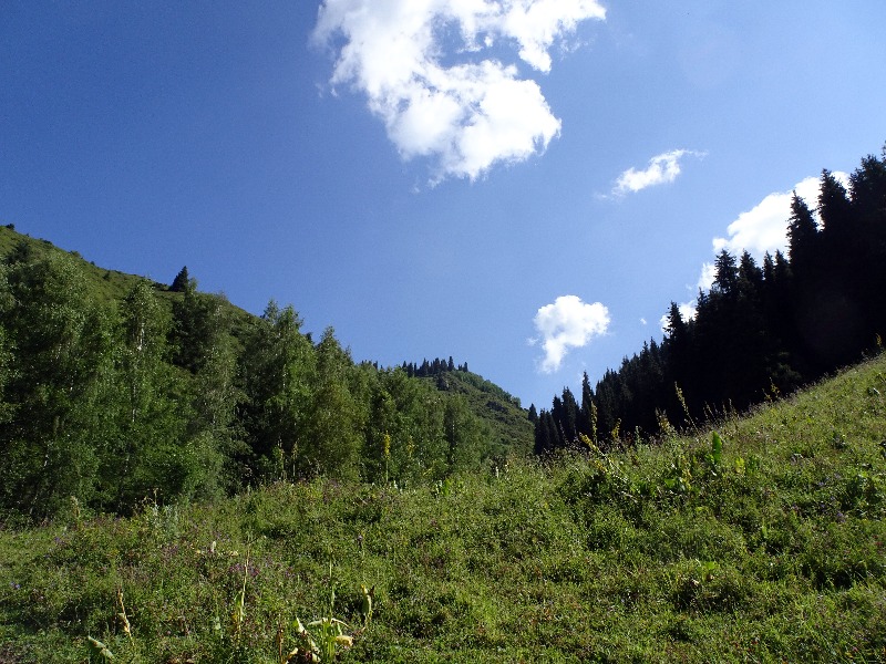 163f6a3aeefcbf2902a592e38adb317b.jpg