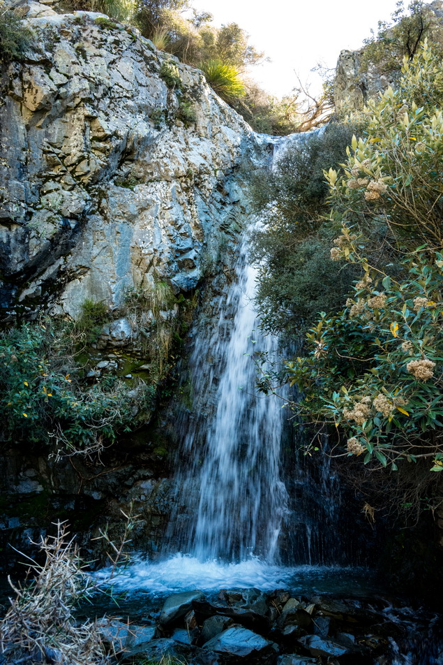 DSC02655l.jpg