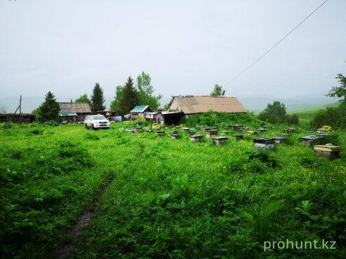 ЦЕНТРАЛЬНАЯ ДЖУНГАРИЯ