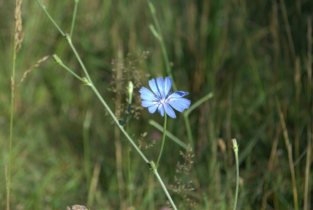 DSC_0326.jpg