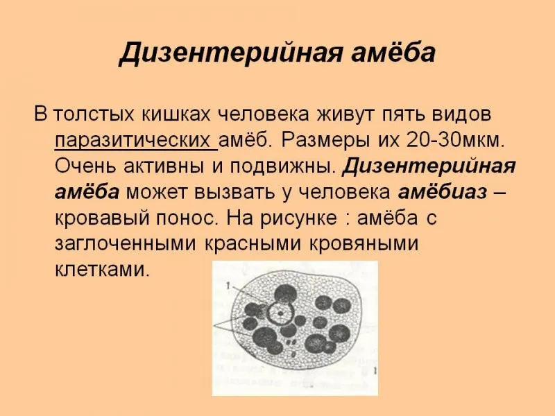 Глобальная пандемия