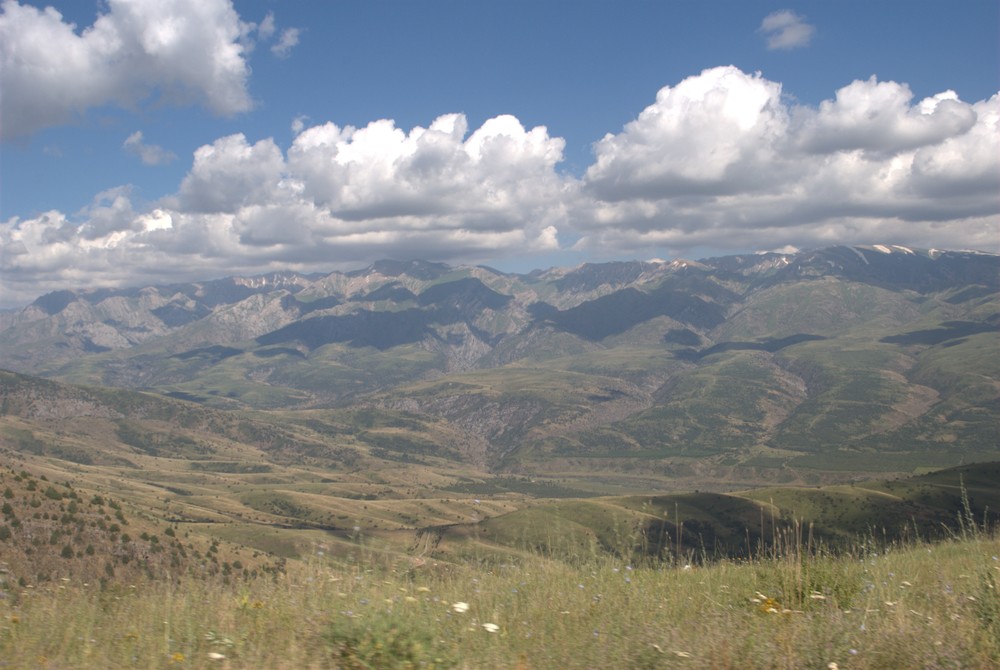 DSC_0175.jpg