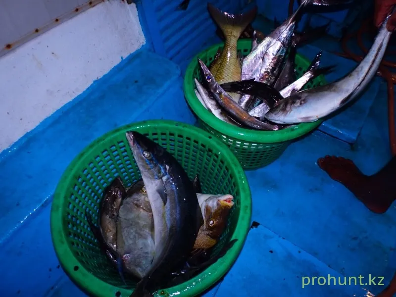 Морская рыбалка в Андаманском море