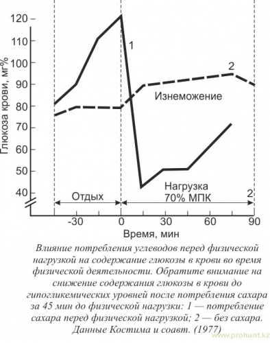 bd733c01f6608baf24f3be0c8e28b378.thumb.jpg.50b0a812ef3368ea423ccccb5a8f4e2e.jpg